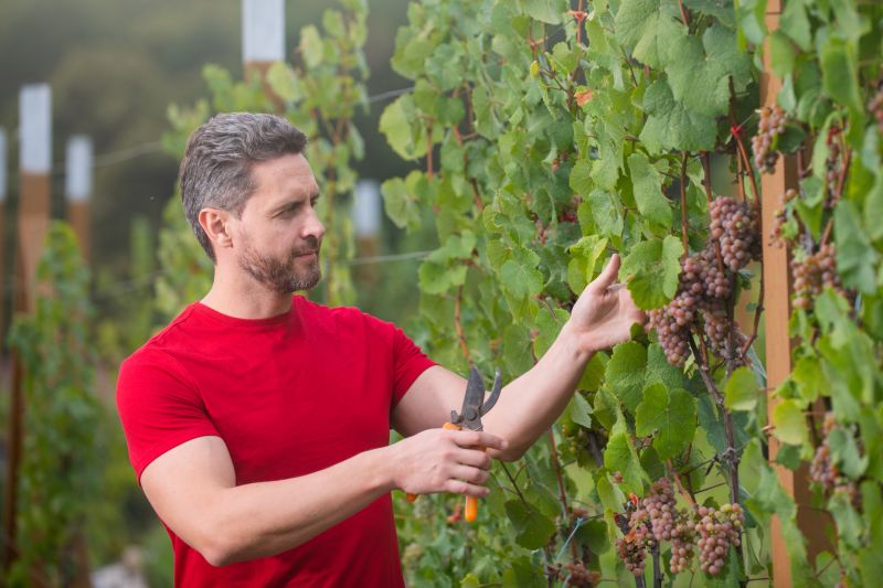 Best Shower Installation pros in Grapevine, TX